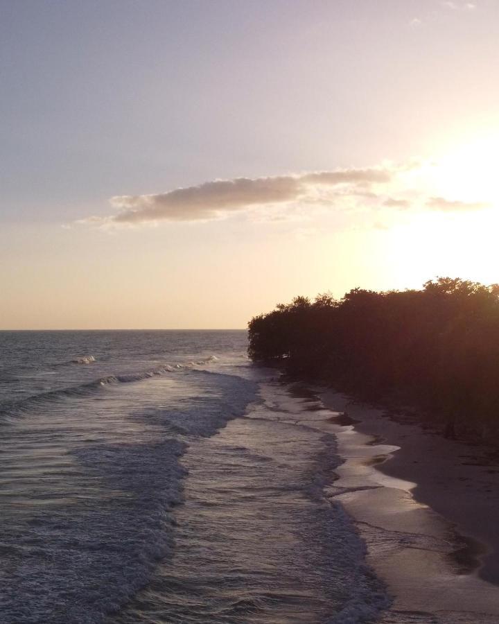 بدرنالس Alba Coral Hotel المظهر الخارجي الصورة